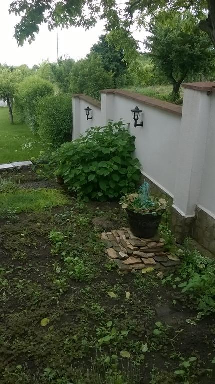 Villa Elina Baltsjik Buitenkant foto
