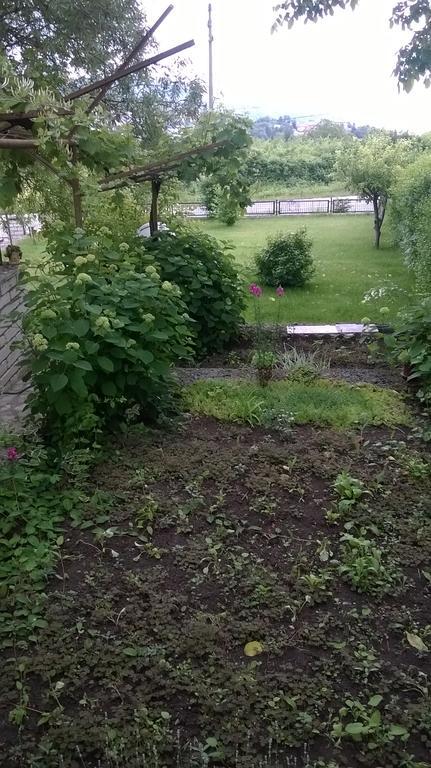 Villa Elina Baltsjik Buitenkant foto
