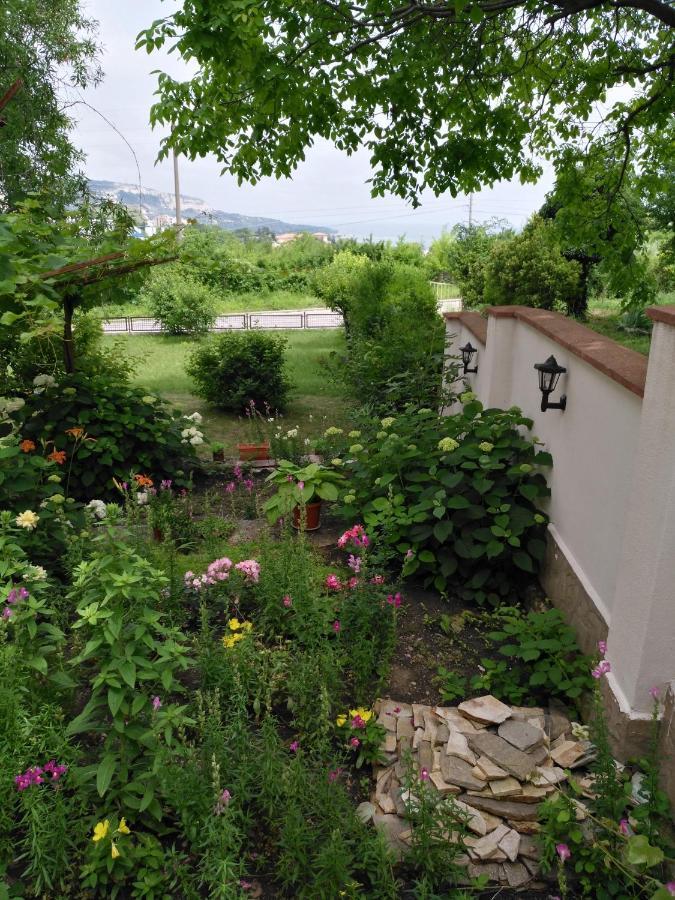 Villa Elina Baltsjik Buitenkant foto
